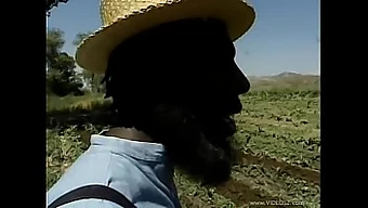 Amish farm girl gets naughty in the hay